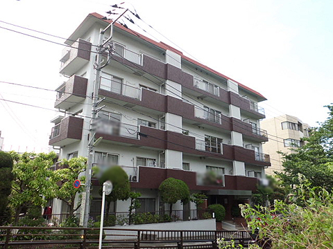 ドミール二子玉川の写真 12枚目