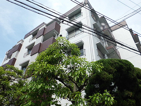 ドミール二子玉川の写真 15枚目