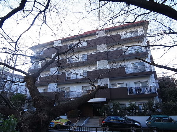 ドミール二子玉川の写真 7枚目