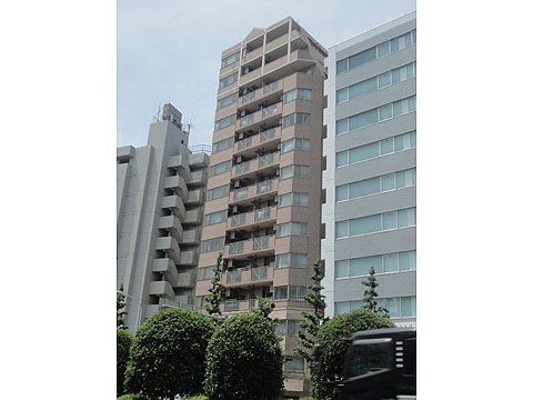 フェリアル小石川の写真 12枚目