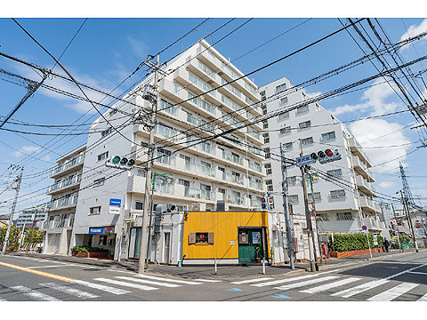 ニューライフ等々力の写真 11枚目