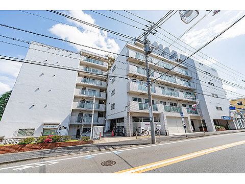 ニューライフ等々力の写真 16枚目