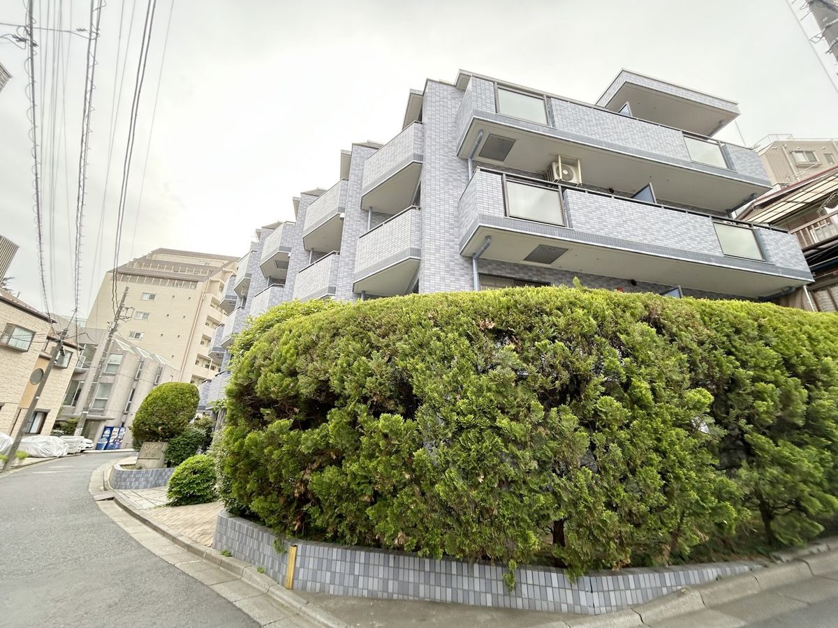 セザール渋谷の写真 11枚目