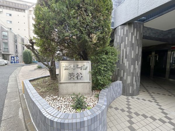 セザール渋谷の写真 12枚目