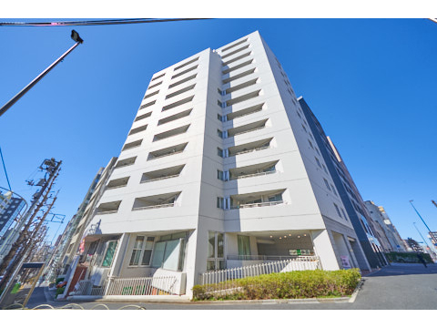 護国寺ロイアルハイツの写真 8枚目