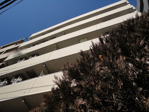 シンシア後楽園の写真 10枚目