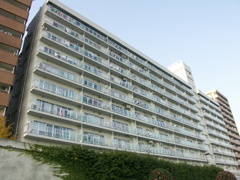 パシフィック浜町の写真 11枚目