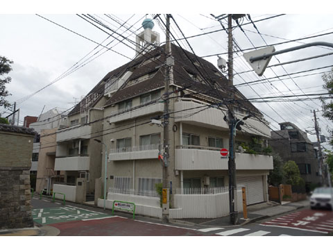 メイゾン南麻布の写真 11枚目