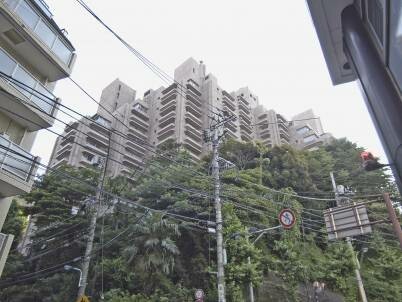 音羽ハウスの写真 10枚目