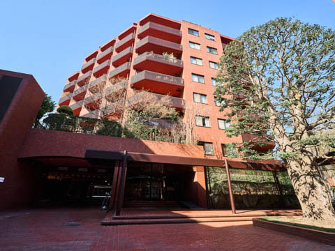 東高代々木ペアシティの写真 14枚目