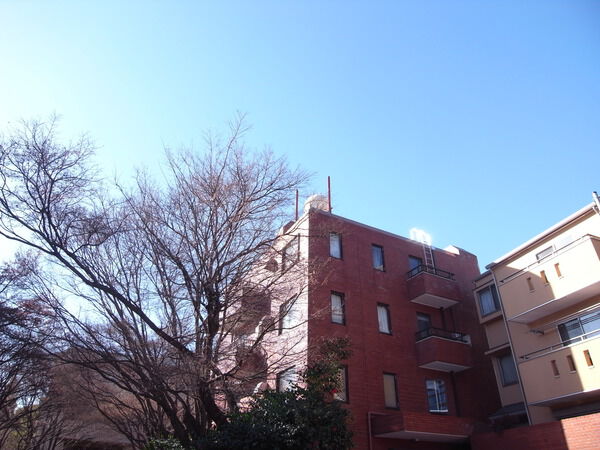 ロイヤル南麻布ガーデンの写真 4枚目