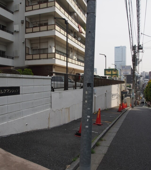 赤坂パレスマンションの写真 10枚目