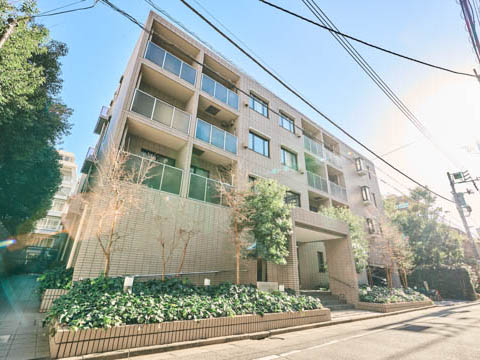 藤和シティホームズ代々木の写真 6枚目