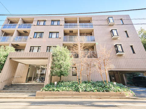 藤和シティホームズ代々木の写真 7枚目