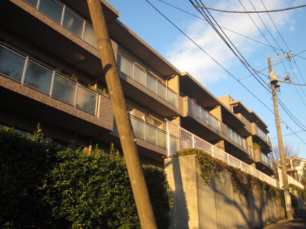 パークハウス上野毛の写真 8枚目