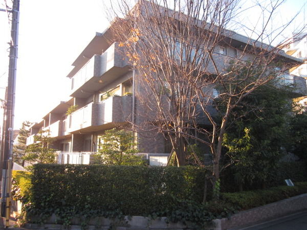 パークハウス上野毛の写真 9枚目