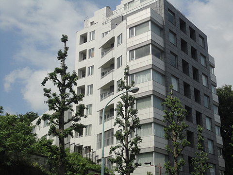 シティハウス文京目白台の写真 12枚目