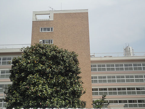 目白台ハウスの写真 11枚目