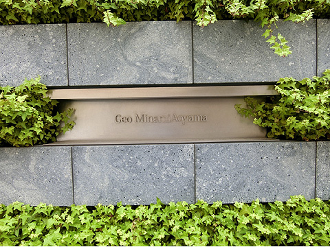 ジオ南青山の写真 11枚目