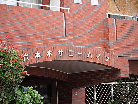 六本木サニーハイツの写真 10枚目