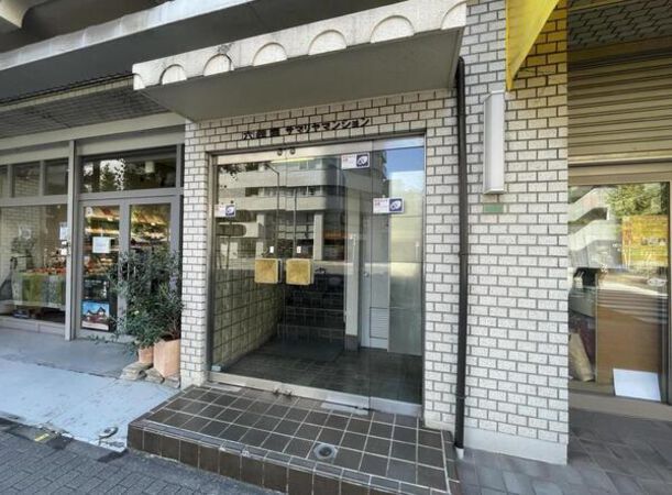 六義園サマリヤマンションの写真 8枚目