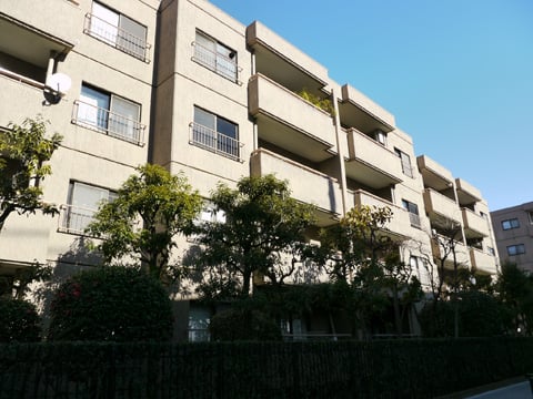 コートハウス玉川1号棟の写真 7枚目