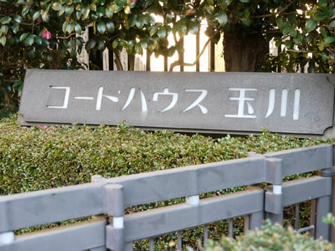 コートハウス玉川1号棟の写真 10枚目