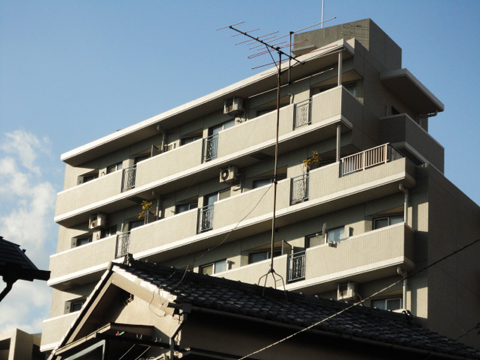 アーバンパレス目白台の写真 12枚目