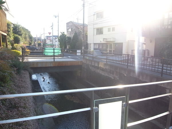 エルデュプレ上野毛の写真 5枚目