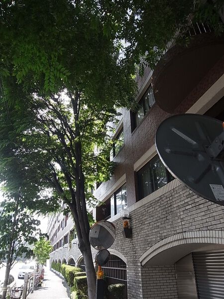 インペリアル広尾の写真 6枚目