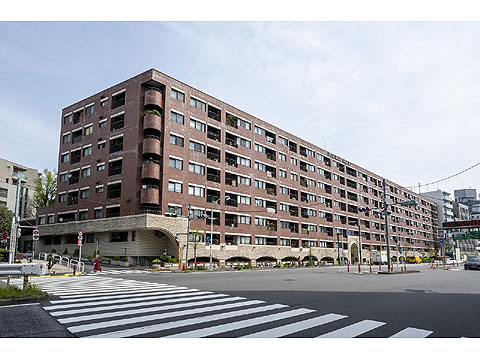 インペリアル広尾の写真 13枚目