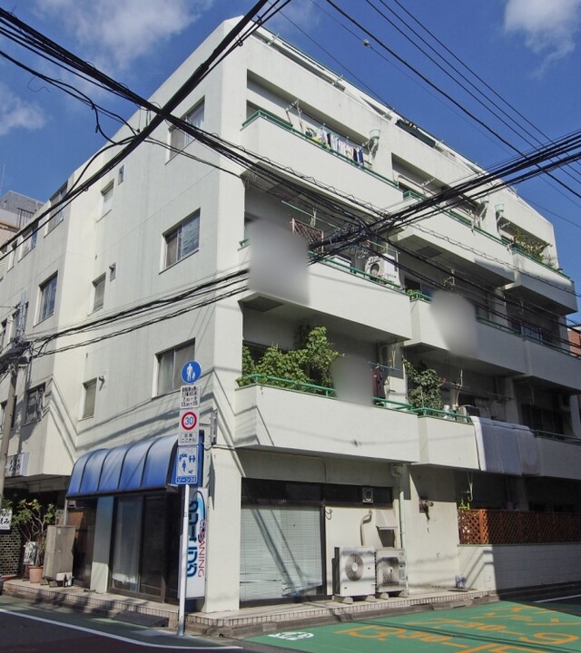 ライオンズマンショングリーン白金の写真 6枚目