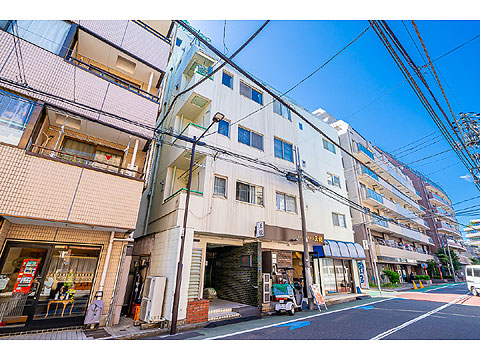 ライオンズマンショングリーン白金の写真 9枚目