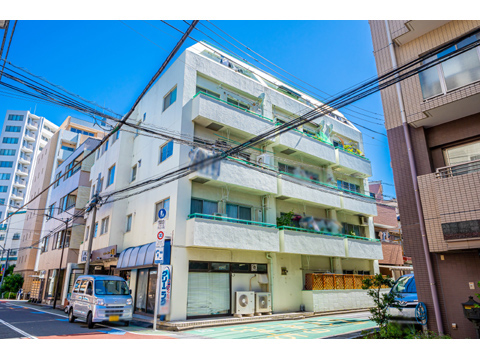 ライオンズマンショングリーン白金の写真 11枚目