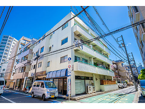 ライオンズマンショングリーン白金の写真 12枚目