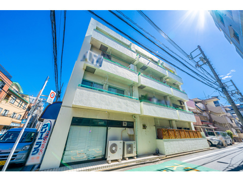 ライオンズマンショングリーン白金の写真 13枚目