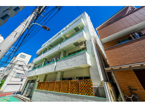 ライオンズマンショングリーン白金の写真 14枚目