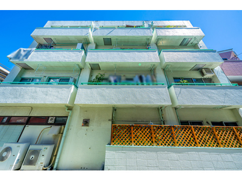 ライオンズマンショングリーン白金の写真 15枚目