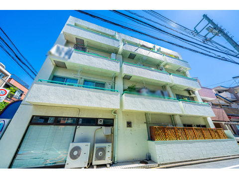 ライオンズマンショングリーン白金の写真 16枚目