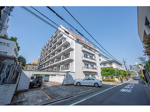 秀和青南レジデンスの写真 13枚目