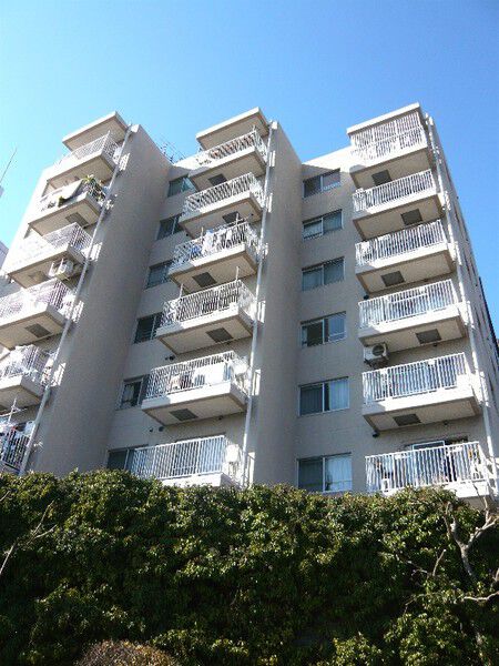 ハイツ日本橋中洲の外観写真 - 中央区日本橋中洲6番10号