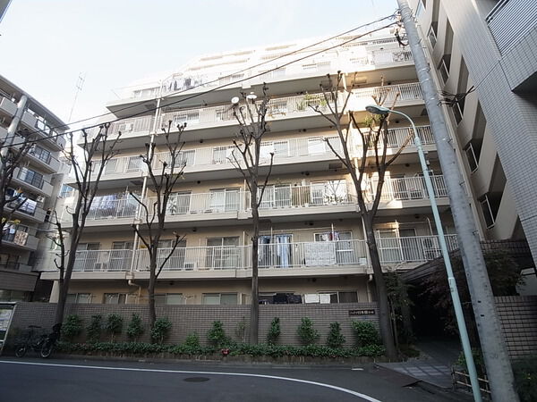 ハイツ日本橋中洲の写真 8枚目