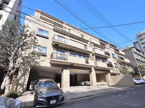 三田グレースの写真 11枚目