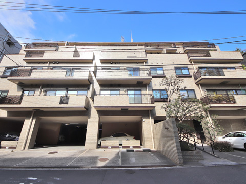 三田グレースの写真 13枚目