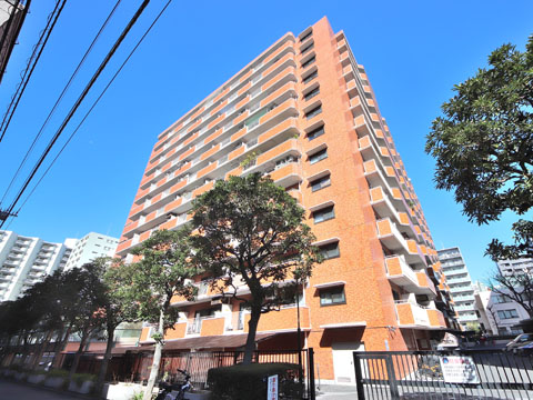 シャンボール三田の写真 12枚目