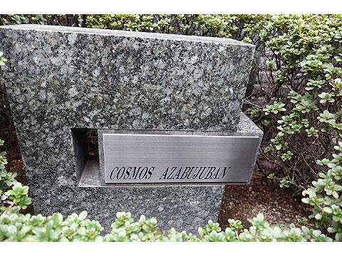 コスモ麻布十番の写真 19枚目