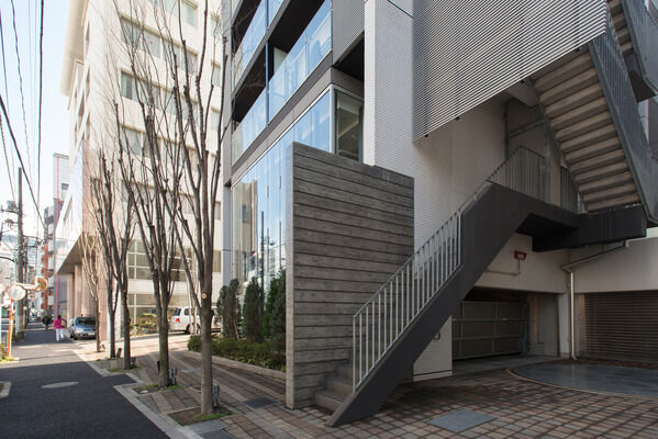 モデルノトッレ松濤の写真 7枚目