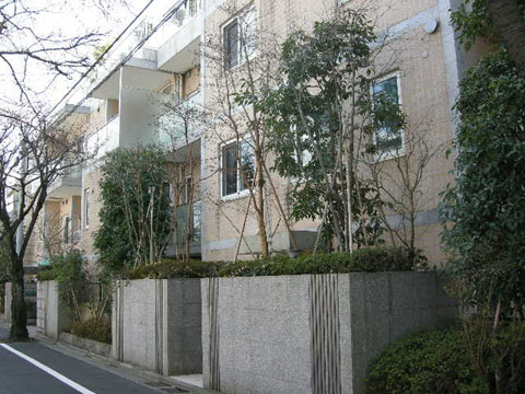 ロイヤルシーズン成城の写真 13枚目