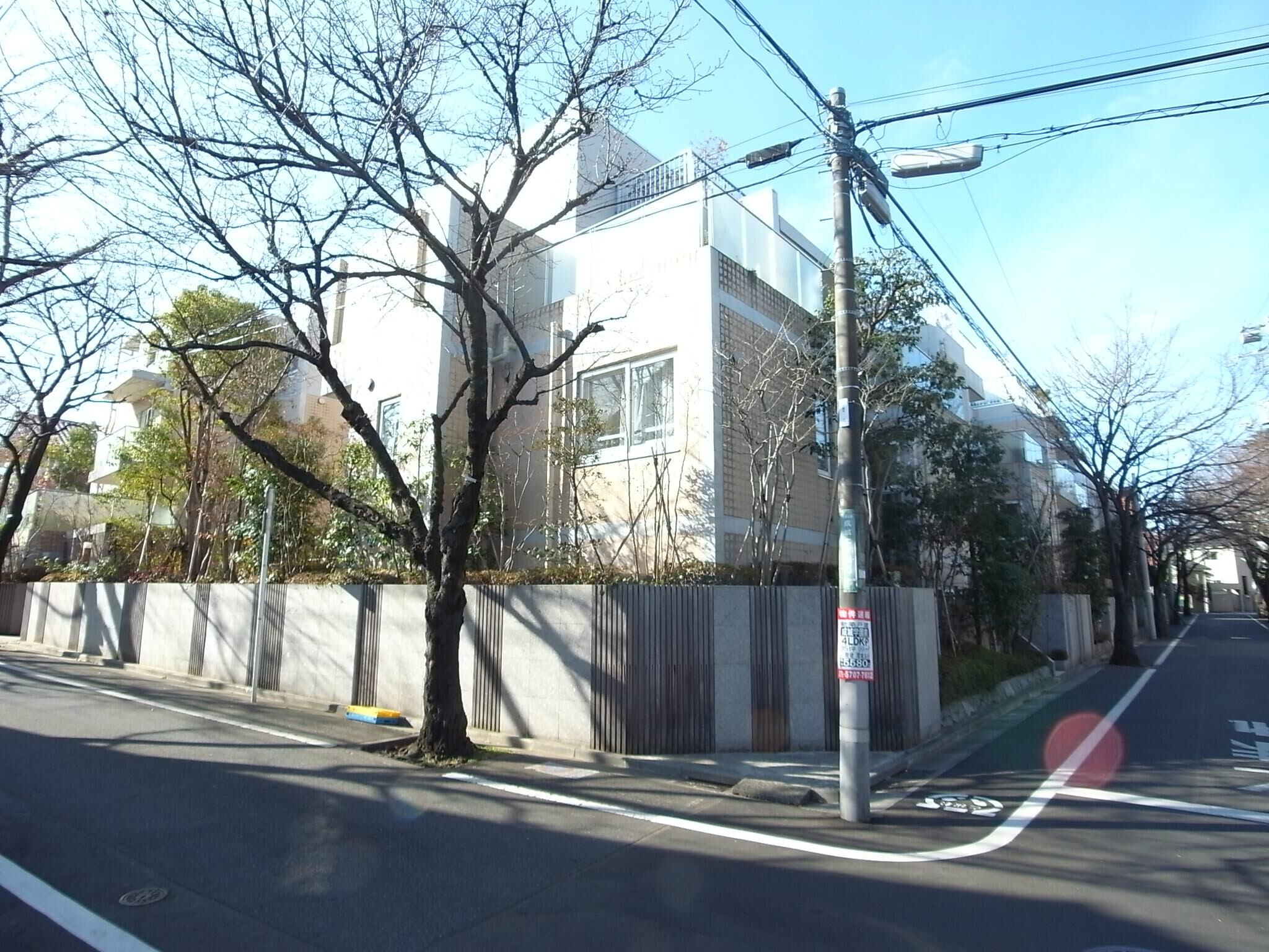 ロイヤルシーズン成城の写真 9枚目