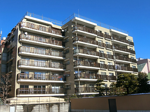 ソフトタウン南青山の写真 8枚目